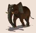 3d_Animasi_Elephant_Walking_An.gif