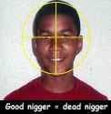 TrayvonTarget.jpg