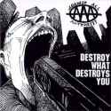 1996 - Destroy What Destroys You.jpg