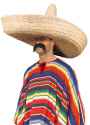 giant-mexican-sombrero-800.jpg