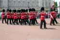 Grenadier Guards.jpg