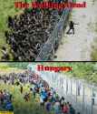 the-walking-dead-hungary-comparison-fence-zombies.jpg