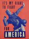My right to fight for america Rev Web.jpg