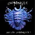 Shpongle - Are You Shpongled.jpg