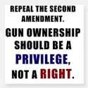repeal_the_second_amendment.jpg