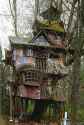 awesome-tree-houses-With-moss.jpg