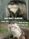 And-Then-I-Realized-I-Love-You-I-Want-No-One-Otter-Than-You-Funny-Love-Meme-Image.jpg