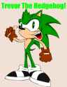 trevor_the_hedgehog_by_rovertarthead.png