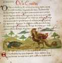 Medieval-Hell-Man-slain-by-a-giant-basilisk-giant-chicken-monster.jpg