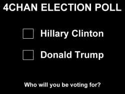 usa_election_poll.jpg