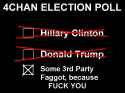 election poll.jpg