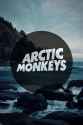 alex-turner-am-arctic-monkeys-bands-Favim.com-3401490.jpg