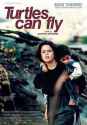 220px-Turtles_Can_Fly_poster.jpg