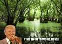 Drain-the-Swamp.png