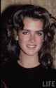 Brooke Shields 1983_life13.jpg