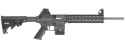 Smith-Wesson-MP-1522.jpg