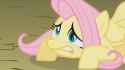 Fluttershy_is_not_so_ready_S01E07.png