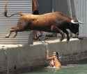 bull-jump.1175292848877.jpg