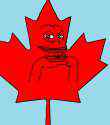 canadian pepe.jpg