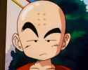 Krillin ain't about that life.png