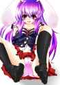 animal_ears bunny_ears feet female gaichi panties purple_hair spread_legs toes touhou underwear-0fc43b7d162048fca5ac864149409e38.jpg