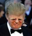 Funny-Donald-Trump-With-Tiny-Face-Photo.jpg