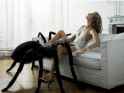 Spiders+are+dangerous+bad+boys+that+are+smooth+enough+to+_38e5e2523bbe669c588067b0a3eddd79.jpg