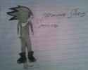 The-Hedgehog-sonic-fan-characters-16577747-500-400.jpg