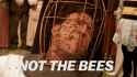 Nicolas-Cage-Not-The-Bees.gif