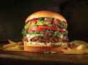food327-burger,-southwest.jpg
