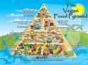 Vegan Food Pyramid.jpg