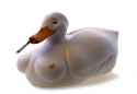 382162 - Decoy duck inanimate.jpg