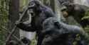 planet-of-the-apes-photo.jpg