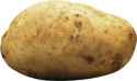 potato king.jpg