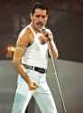 Freddie-Mercury-356241.jpg