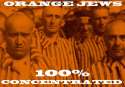 Orange+jews+always+funny_c290fc_3647624.jpg
