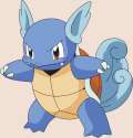 008Wartortle_AG_anime.png