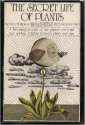 615NZVy9KML._SY344_BO1,204,203,200_.jpg