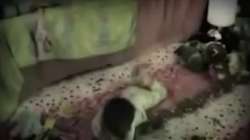 1465860973541.webm