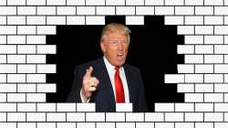 trumpwall.png