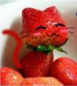 strawberry cat.jpg