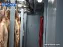 1459194354993.webm