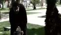 1435575015142.webm