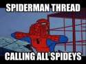 now its a spiderman thread.jpg