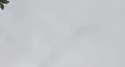 america.webm