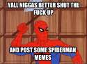 Spiderman Post some memes.jpg