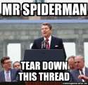 mr spiderman tear down this thread.jpg
