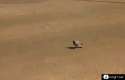 1407974443527.gif