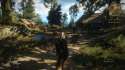 witcher3 2015-12-25 17-52-43-265.png