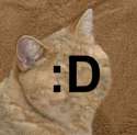 C__Data_Users_DefApps_AppData_INTERNETEXPLORER_Temp_Saved Images_1476591780522.png